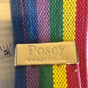 Posey Multicolor Belt